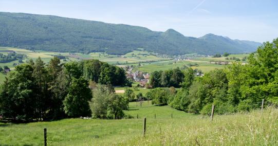 Laupersdorf von Weitem